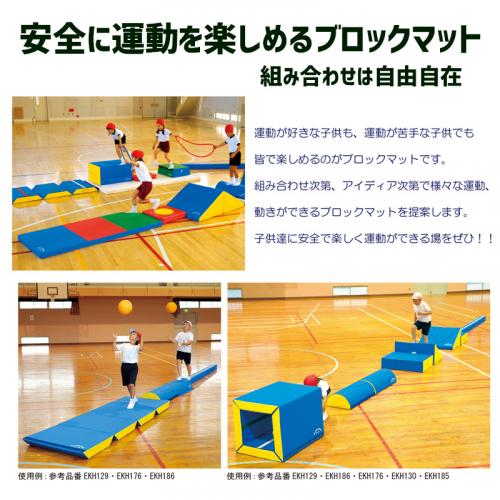 ブロックマットスロープ EKH196