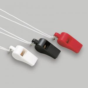 エバニュー プラ大エコー笛(30個入) EKB216