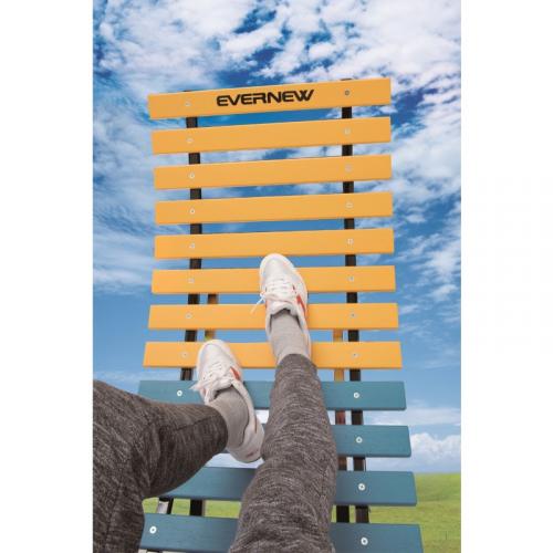 エバニュー 逆上がり補助器プラス EKD332