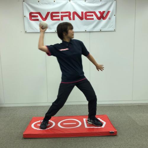 エバニュー ミニマルチマットTP投 EKM455