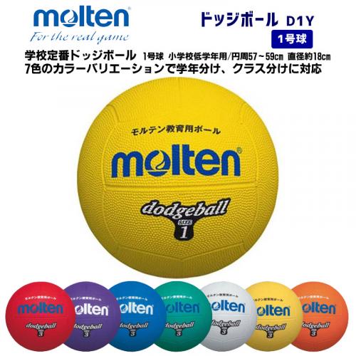 ドッジボール D1Y