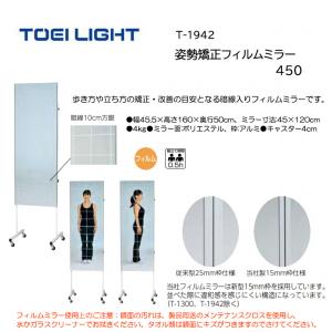 トーエイライト 姿勢矯正フィルムミラー450 T-1942