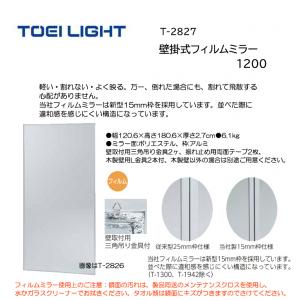 トーエイライト 壁掛式フィルムミラー1200 T-2827