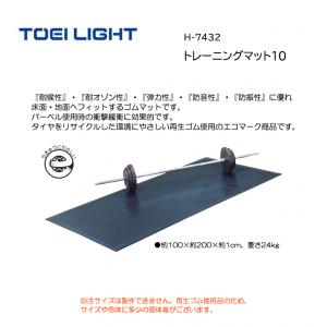 トーエイライト トレーニングマット10 H-7432