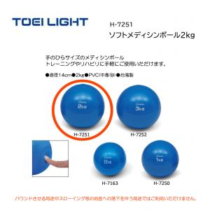 トーエイライト ソフトメディシンボール2kg H-7251