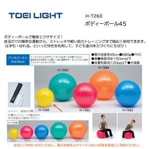 トーエイライト ボディーボール45 H-7260