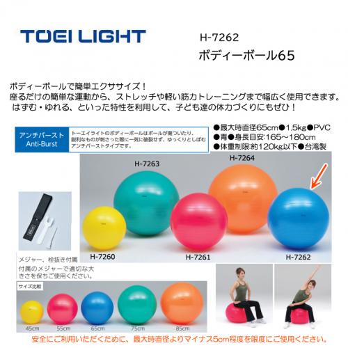 トーエイライト ボディーボール65 H-7262