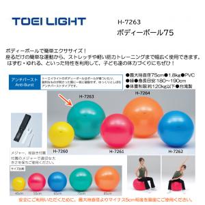 トーエイライト ボディーボール75 H-7263