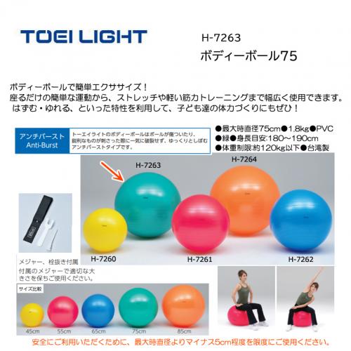 トーエイライト ボディーボール75 H-7263