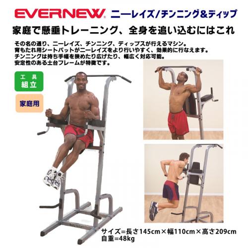 二―レイズ/チンニング&ディップ ETB755