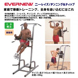 二―レイズ/チンニング&ディップ ETB755