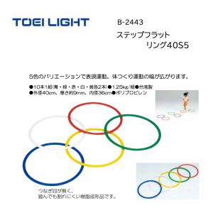 トーエイライト ステップフラットリング40S5 B-2443