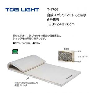 トーエイライト 合成スポンジマット 6cm厚 6号帆布 120×240×6cm T-1709
