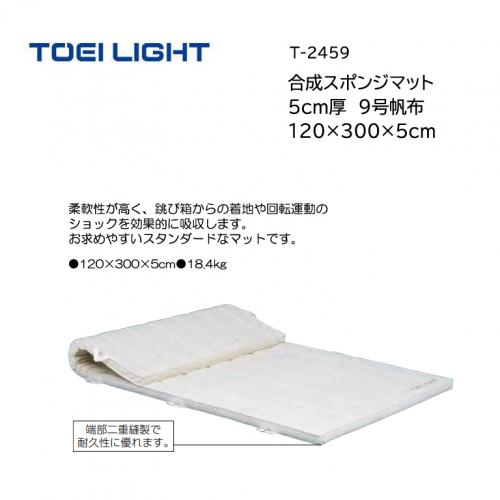 トーエイライト 合成スポンジマット 5cm厚 9号帆布 120×300×5cm T-2459
