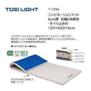 トーエイライト コンビネーションマット 6cm厚 抗菌6号帆布・すべり止め付 120×600×6cm T-1296