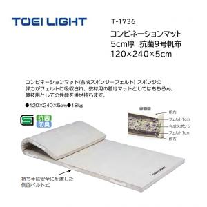 トーエイライト コンビネーションマット 5cm厚 抗菌9号帆布 120×240×5cm T-1736