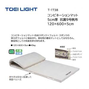 トーエイライト コンビネーションマット 5cm厚 抗菌9号帆布 120×600×5cm T-1738