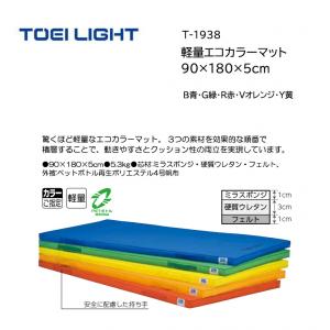 トーエイライト 軽量エコカラーマット 90×180×5cm T-1938