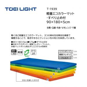 トーエイライト 軽量エコカラーマット・すべり止め付 90×180×5cm T-1939