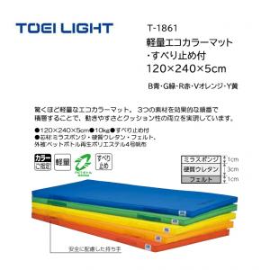 トーエイライト 軽量エコカラーマット・すべり止め付 120×240×5cm T-1861