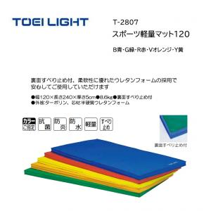 トーエイライト スポーツ軽量マット120 T-2807