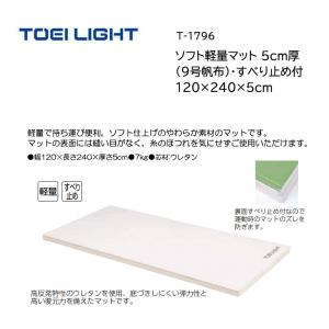 トーエイライト ソフト軽量マット 5cm厚(9号帆布)・すべり止め付 120×240×5cm T-1796