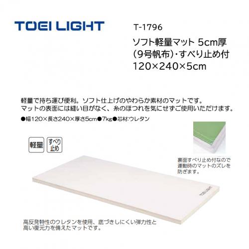 トーエイライト ソフト軽量マット 5cm厚(9号帆布)・すべり止め付 120×240×5cm T-1796