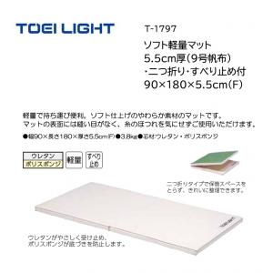 トーエイライト ソフト軽量マット 5.5cm厚(9号帆布)・二つ折り・すべり止め付 90×180×5.5cm(F) T-1797