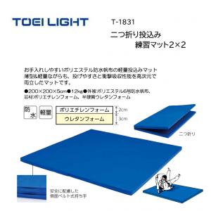 トーエイライト 二つ折り投込み練習マット2×2 T-1831