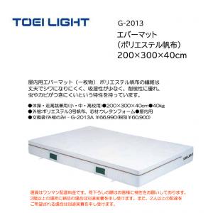トーエイライト エバーマット(ポリエステル帆布) 200×300×40cm G-2013