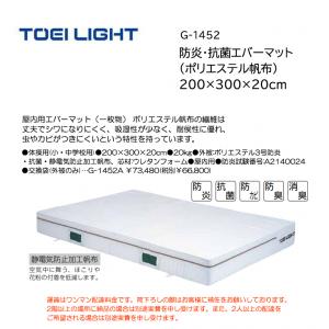 トーエイライト 防炎・抗菌エバーマット(ポリエステル帆布) 200×300×20cm G-1452