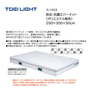 トーエイライト 防炎・抗菌エバーマット(ポリエステル帆布) 200×300×30cm G-1453