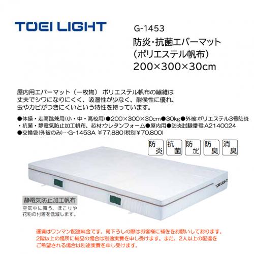 トーエイライト 防炎・抗菌エバーマット(ポリエステル帆布) 200×300×30cm G-1453