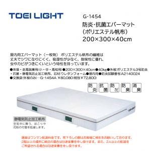 トーエイライト 防炎・抗菌エバーマット(ポリエステル帆布) 200×300×40cm G-1454