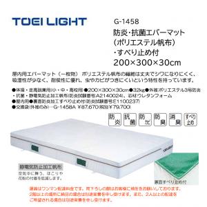 トーエイライト 防炎・抗菌エバーマット(ポリエステル帆布)・すべり止め付 200×300×30cm G-1458