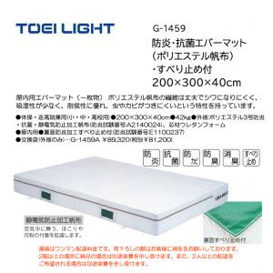トーエイライト 防炎・抗菌エバーマット(ポリエステル帆布)・すべり止め付 200×300×40cm G-1459
