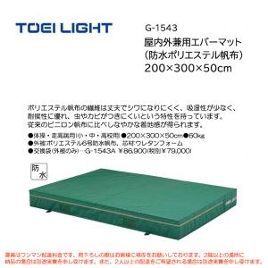 トーエイライト 屋内外兼用エバーマット (防水ポリエステル帆布) 200×300×50cm G-1543