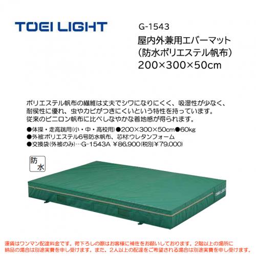トーエイライト 屋内外兼用エバーマット (防水ポリエステル帆布) 200×300×50cm G-1543