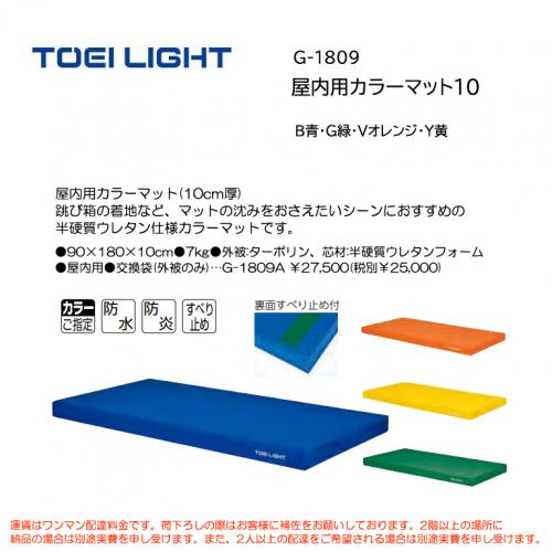 トーエイライト 屋内用カラーマット10 G-1809