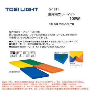 トーエイライト 屋内用カラーマット10連結 G-1811