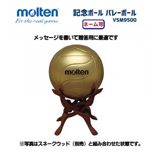記念ボール バレーボール V5M9500