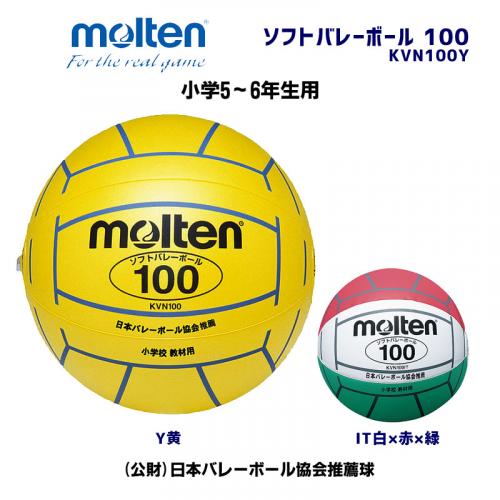 ソフトバレーボール 100 KVN100Y