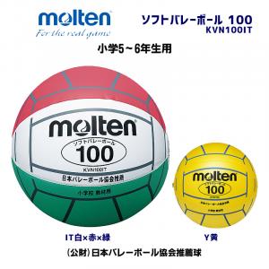 ソフトバレーボール 100 KVN100IT