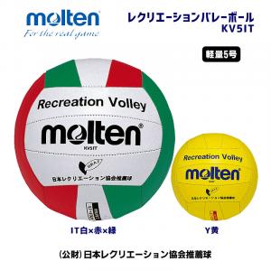 レクリエーションバレーボール KV5IT