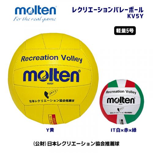 レクリエーションバレーボール KV5Y