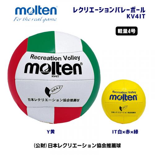 レクリエーションバレーボール KV4IT