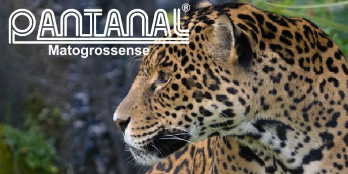 pantanar