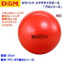 家トレグッズ D&M/バランスボール/エクササイズボール セラバンド エクササイズボール 「プロシリーズ」 SDS-55 (カラー:RED×サイズ:直径55cm)