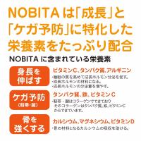 NOBITA(ノビタ) ソイプロテイン - いちごミルク味　600g