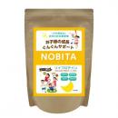 NOBITA(ノビタ) ソイプロテイン - バナナ味　600g